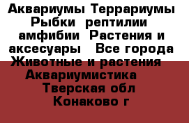 Аквариумы.Террариумы.Рыбки, рептилии, амфибии. Растения и аксесуары - Все города Животные и растения » Аквариумистика   . Тверская обл.,Конаково г.